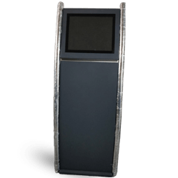 Digital government kiosk for citizen service delivery