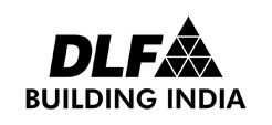 DLF
