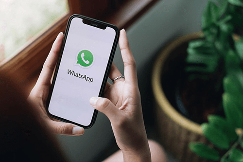 WhatsApp Business API